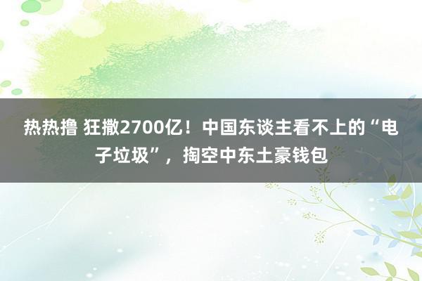 热热撸 狂撒2700亿！中国东谈主看不上的“电子垃圾”，掏空中东土豪钱包