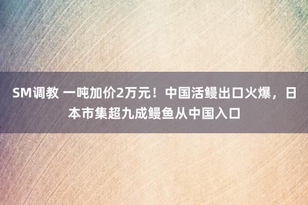 SM调教 一吨加价2万元！中国活鳗出口火爆，日本市集超九成鳗鱼从中国入口