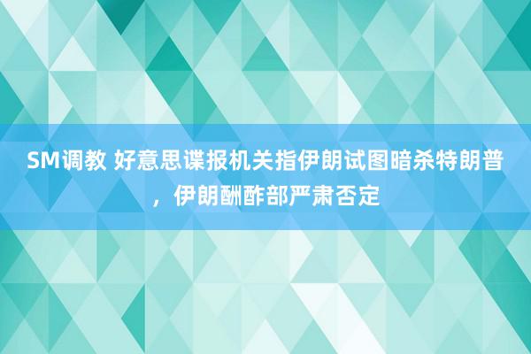 SM调教 好意思谍报机关指伊朗试图暗杀特朗普，伊朗酬酢部严肃否定