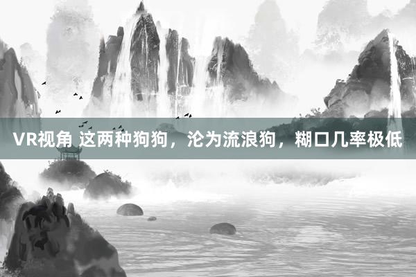 VR视角 这两种狗狗，沦为流浪狗，糊口几率极低