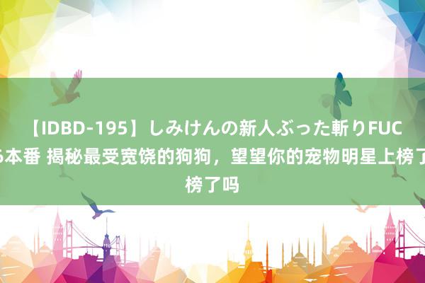 【IDBD-195】しみけんの新人ぶった斬りFUCK 6本番 揭秘最受宽饶的狗狗，望望你的宠物明星上榜了吗