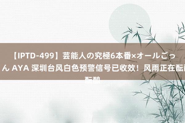 【IPTD-499】芸能人の究極6本番×オールごっくん AYA 深圳台风白色预警信号已收效！风雨正在酝酿