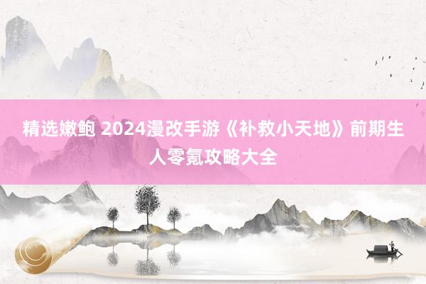 精选嫩鲍 2024漫改手游《补救小天地》前期生人零氪攻略大全