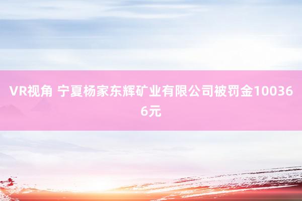 VR视角 宁夏杨家东辉矿业有限公司被罚金100366元