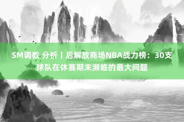 SM调教 分析丨后解放商场NBA战力榜：30支球队在休赛期末濒临的最大问题