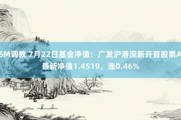 SM调教 7月22日基金净值：广发沪港深新开首股票A最新净值1.4519，涨0.46%