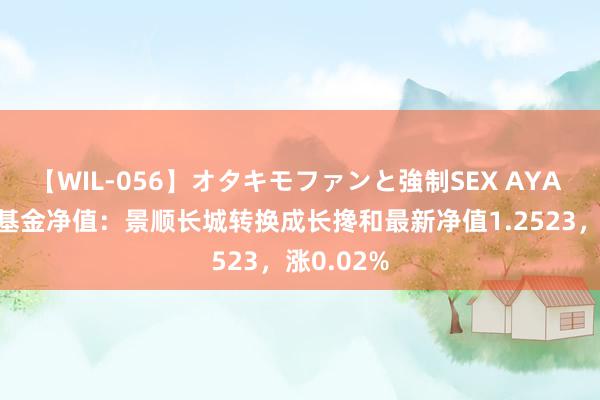 【WIL-056】オタキモファンと強制SEX AYA 7月22日基金净值：景顺长城转换成长搀和最新净值1.2523，涨0.02%