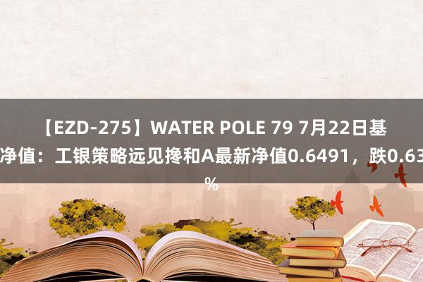 【EZD-275】WATER POLE 79 7月22日基金净值：工银策略远见搀和A最新净值0.6491，跌0.63%