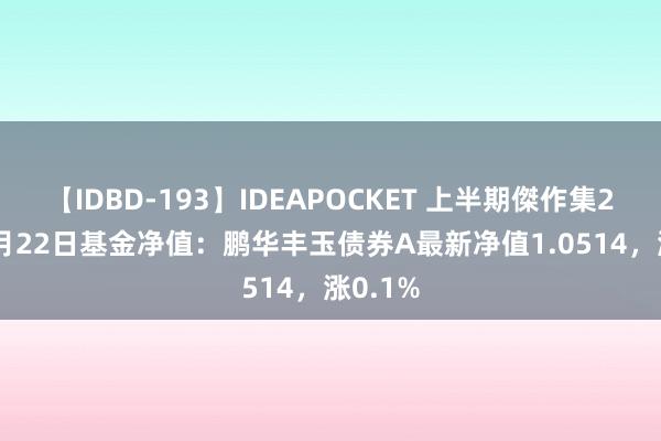 【IDBD-193】IDEAPOCKET 上半期傑作集2009 7月22日基金净值：鹏华丰玉债券A最新净值1.0514，涨0.1%