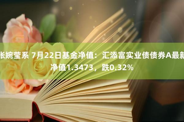 张婉莹系 7月22日基金净值：汇添富实业债债券A最新净值1.3473，跌0.32%