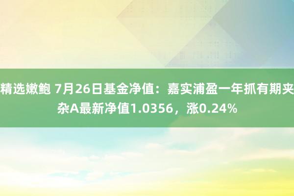 精选嫩鲍 7月26日基金净值：嘉实浦盈一年抓有期夹杂A最新净值1.0356，涨0.24%