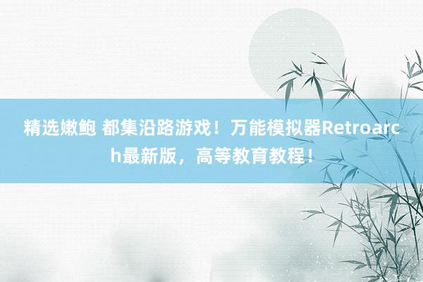 精选嫩鲍 都集沿路游戏！万能模拟器Retroarch最新版，高等教育教程！