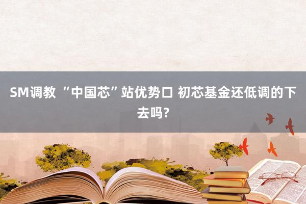 SM调教 “中国芯”站优势口 初芯基金还低调的下去吗?