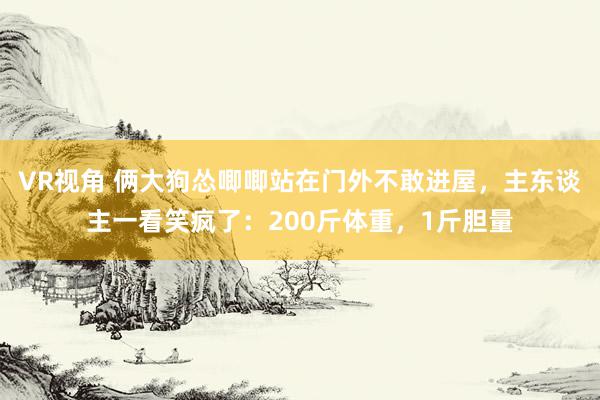 VR视角 俩大狗怂唧唧站在门外不敢进屋，主东谈主一看笑疯了：200斤体重，1斤胆量