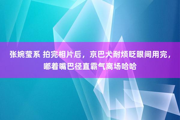 张婉莹系 拍完相片后，京巴犬耐烦眨眼间用完，嘟着嘴巴径直霸气离场哈哈