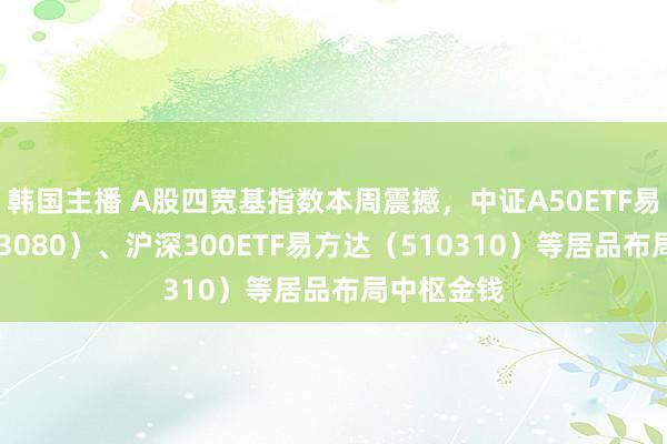 韩国主播 A股四宽基指数本周震撼，中证A50ETF易方达（563080）、沪深300ETF易方达（510310）等居品布局中枢金钱