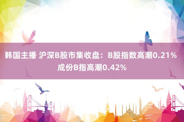 韩国主播 沪深B股市集收盘：B股指数高潮0.21% 成份B指高潮0.42%