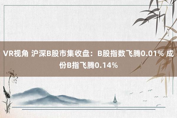 VR视角 沪深B股市集收盘：B股指数飞腾0.01% 成份B指飞腾0.14%