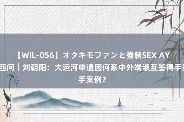 【WIL-056】オタキモファンと強制SEX AYA 东西问｜刘朝阳：大运河申遗因何系中外端淑互鉴得手案例？