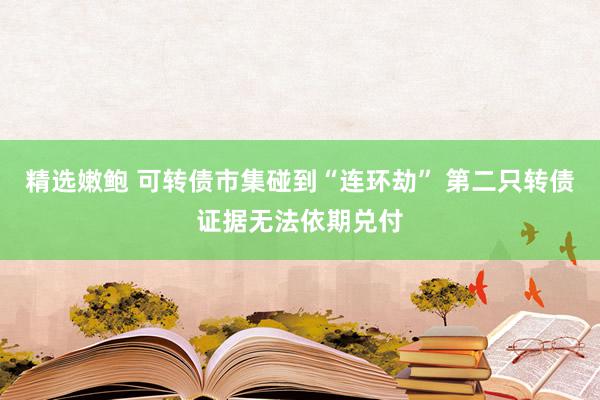 精选嫩鲍 可转债市集碰到“连环劫” 第二只转债证据无法依期兑付