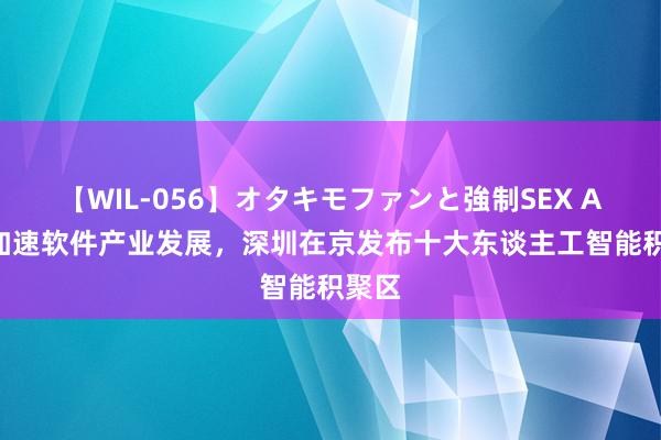 【WIL-056】オタキモファンと強制SEX AYA 加速软件产业发展，深圳在京发布十大东谈主工智能积聚区