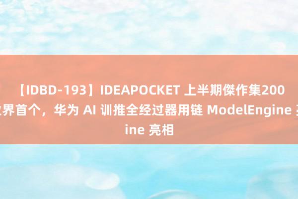 【IDBD-193】IDEAPOCKET 上半期傑作集2009 业界首个，华为 AI 训推全经过器用链 ModelEngine 亮相