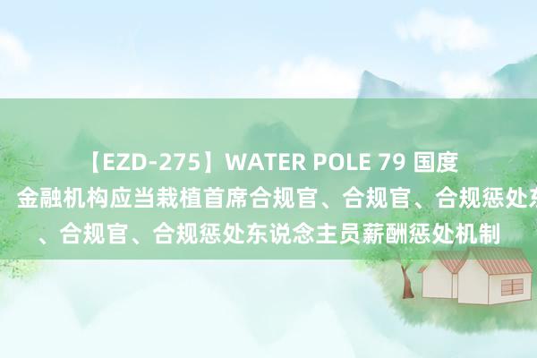 【EZD-275】WATER POLE 79 国度金融监管总局征求观点： 金融机构应当栽植首席合规官、合规官、合规惩处东说念主员薪酬惩处机制