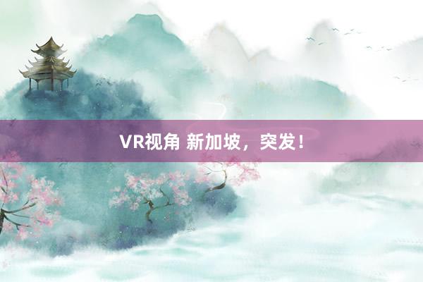 VR视角 新加坡，突发！