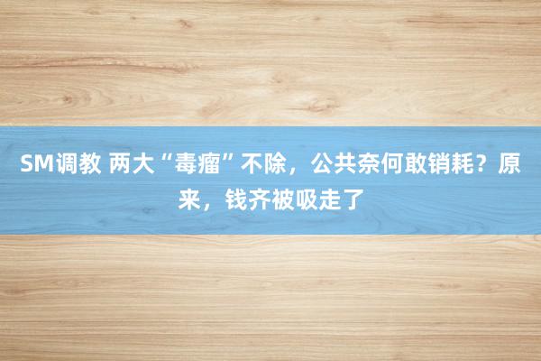 SM调教 两大“毒瘤”不除，公共奈何敢销耗？原来，钱齐被吸走了