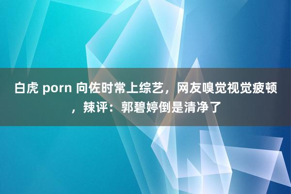 白虎 porn 向佐时常上综艺，网友嗅觉视觉疲顿，辣评：郭碧婷倒是清净了