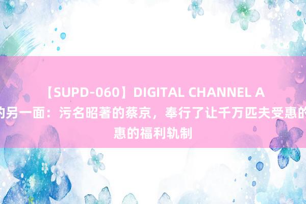 【SUPD-060】DIGITAL CHANNEL AYA 奸贼的另一面：污名昭著的蔡京，奉行了让千万匹夫受惠的福利轨制