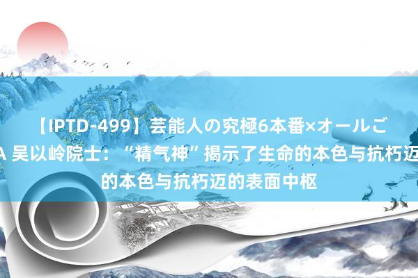 【IPTD-499】芸能人の究極6本番×オールごっくん AYA 吴以岭院士：“精气神”揭示了生命的本色与抗朽迈的表面中枢