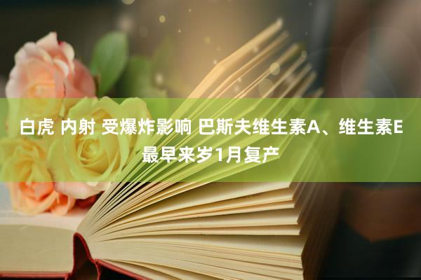 白虎 内射 受爆炸影响 巴斯夫维生素A、维生素E最早来岁1月复产