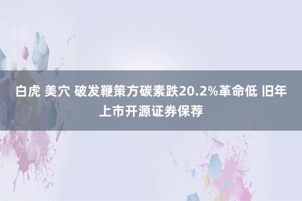 白虎 美穴 破发鞭策方碳素跌20.2%革命低 旧年上市开源证券保荐